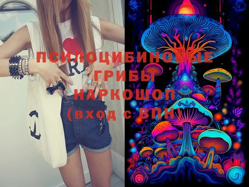Псилоцибиновые грибы Psilocybine cubensis  KRAKEN   Адыгейск  продажа наркотиков 