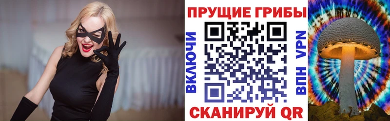 хочу наркоту  Адыгейск  Галлюциногенные грибы мицелий 